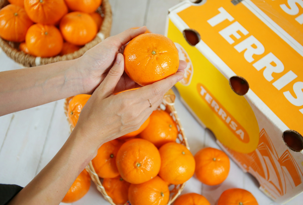 TERRISA Classic Australian Mandarins