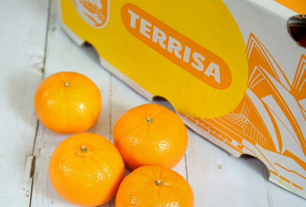 TERRISA Classic Australian Mandarins