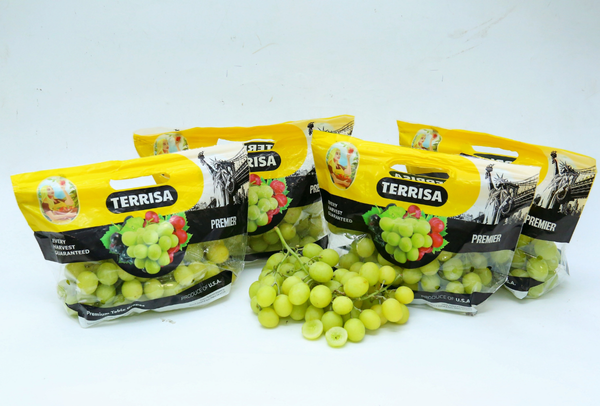 TERRISA Premier U.S.A. Green Grapes