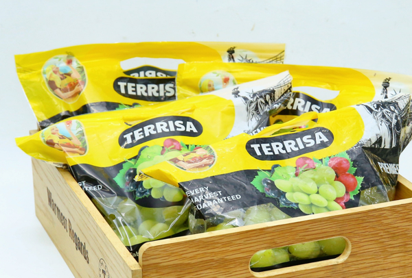 TERRISA Premier U.S.A. Green Grapes