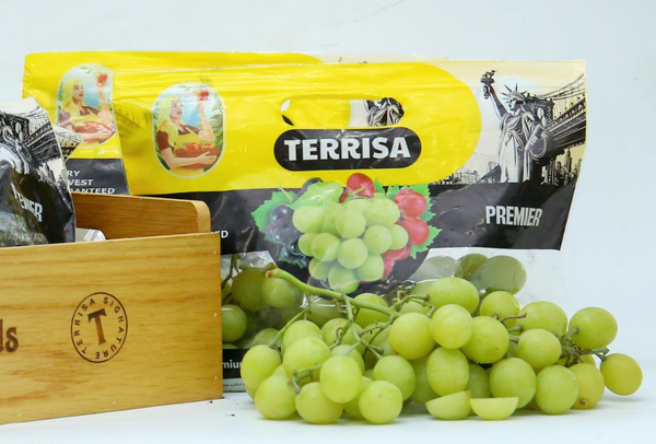 TERRISA Premier U.S.A. Green Grapes