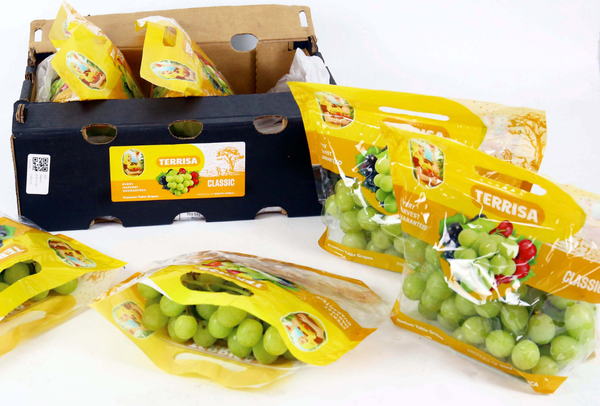TERRISA Clasic South African Green Grapes
