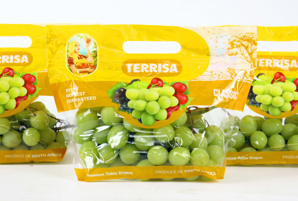 TERRISA Clasic South African Green Grapes