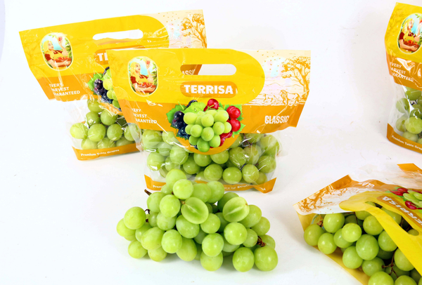 TERRISA Clasic South African Green Grapes
