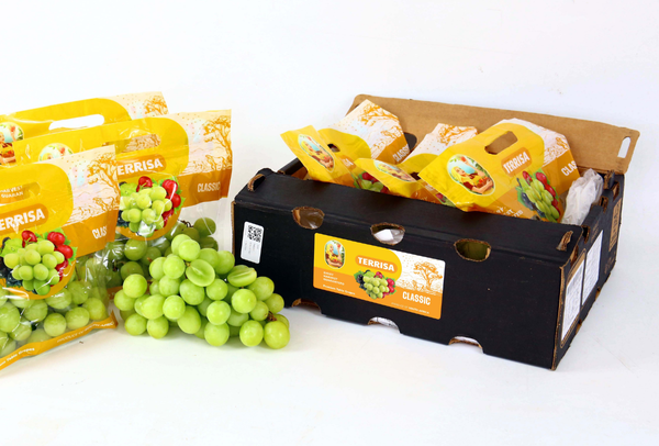 TERRISA Clasic South African Green Grapes