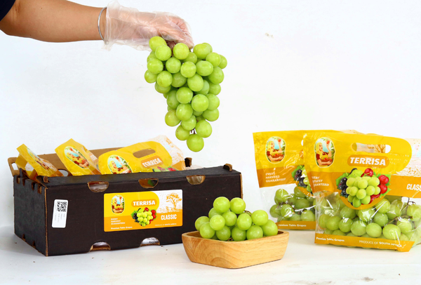 TERRISA Clasic South African Green Grapes