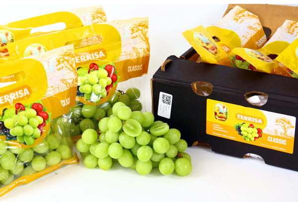 TERRISA Clasic South African Green Grapes