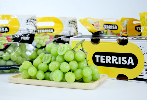 TERRISA Premier South African Green Grapes