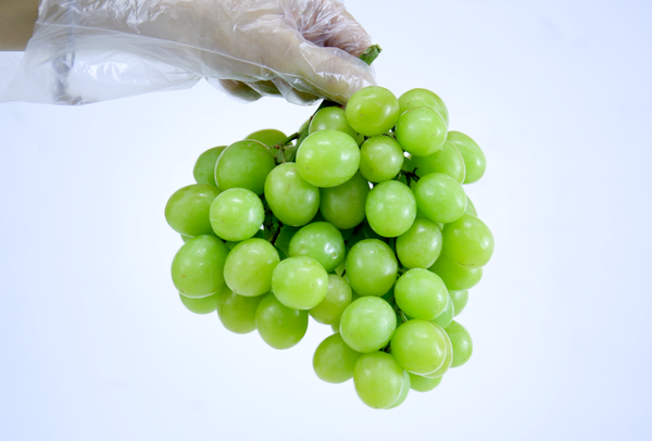 TERRISA Premier South African Green Grapes
