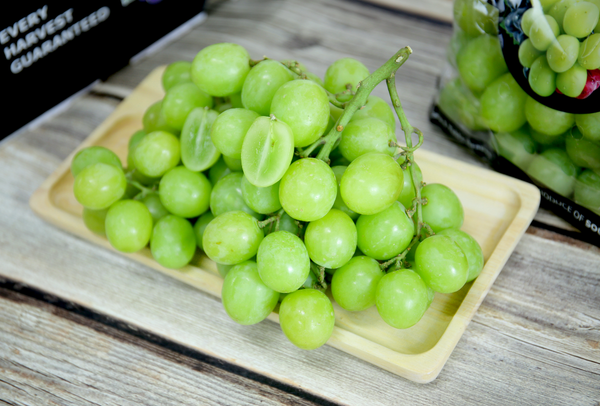 TERRISA Premier South African Green Grapes