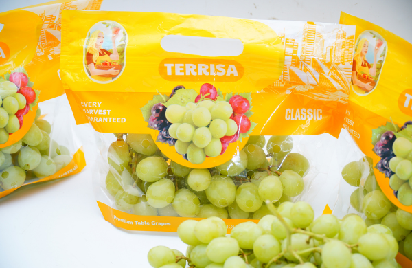 TERRISA Classic Australian Green Grapes
