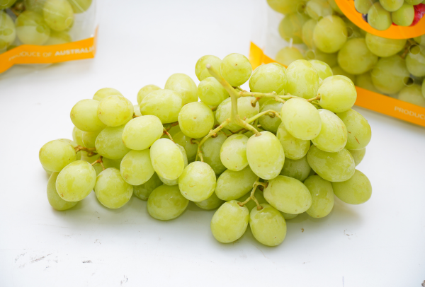 TERRISA Classic Australian Green Grapes