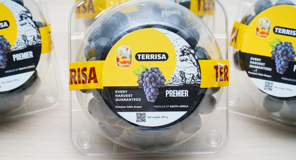 Nho đen Nam Phi TERRISA Premier 